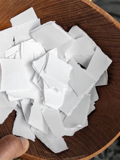 Image result for Seed Papermaking Using Tissues