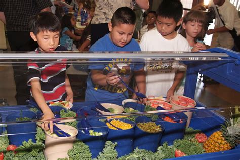 Bedwell School Bernardsville Nj: Clark County School District Lunch Menu