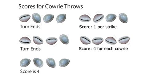 D'source Cowrie Shells | Indoor Games | D'Source Digital Online ...