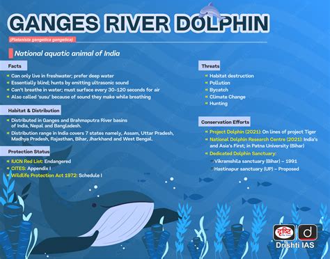 Ganges River Dolphin