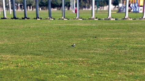 Sunny, Sandy, Scenic Jubail | Aramco Life