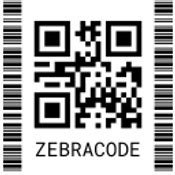 Image result for Zebra Code Programing