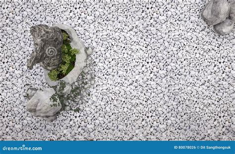 Image result for 3DS Max 2018 Add Dendar Background Tutorials