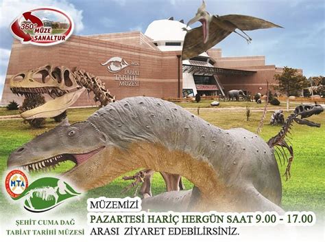 MTA ŞEHIT CUMA DAĞ TABIAT TARIHI MÜZESI - All You SHOULD Know Before ...