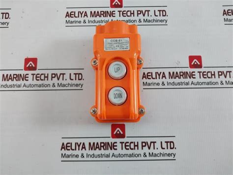 Cob-61 Rainproof Pushbutton Switch Pendant Control Station Ac250V 5A 4 ...