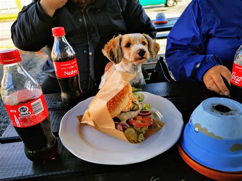 Fisk & Grill Frederikshavn | Dänemark.Guide