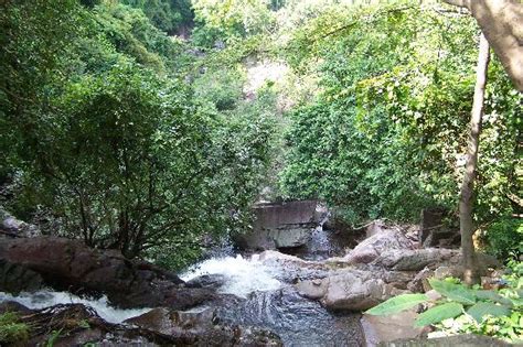 Kakolat Waterfalls (Bihar) - What You Need to Know (with reviews ...