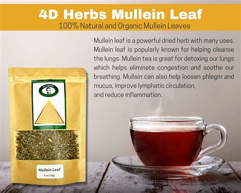 Buy 4D Herbs Mullein Leaf, Organic Mullein, Lung Support Herbal Tea, Expectorant, Herb for ...
