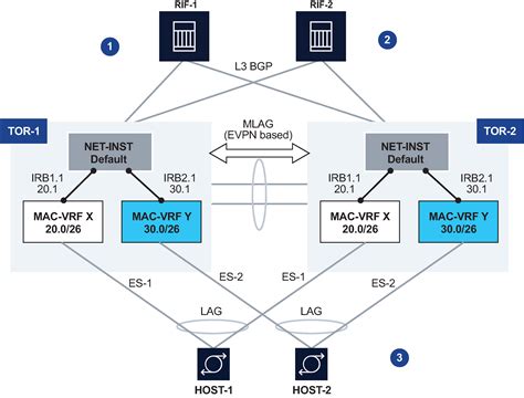 Image result for Evpn Tutorial