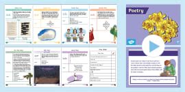 Level 3 Writing: Poetry - Limerick Worksheet (teacher made)