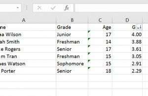 Image result for Make Excel Columns Sortable