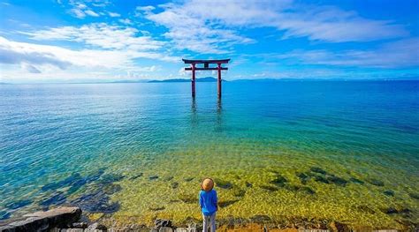 MIHO MUSEUM (2025) All You Need to Know BEFORE You Go (with Photos ...