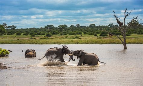 Popis Tak jako Uvidíme se cape town to kruger national park sex Proti ...