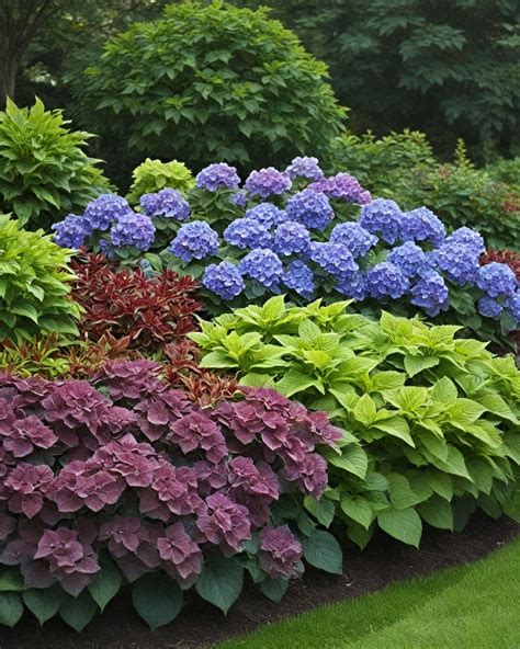 11 Best Companion Plants For Hydrangeas That Make Them Thrive in 2025 ...