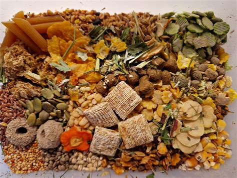 Rat Food Mix Diy at Chantay Mccormick blog