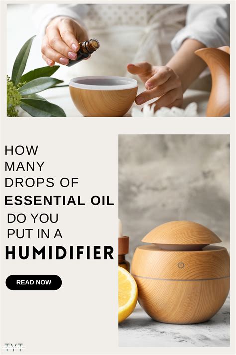 Image result for Humidifier with Essential Oils
