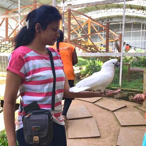 PEEKU PARK YERCAUD (2025) All You Need to Know BEFORE You Go (with ...