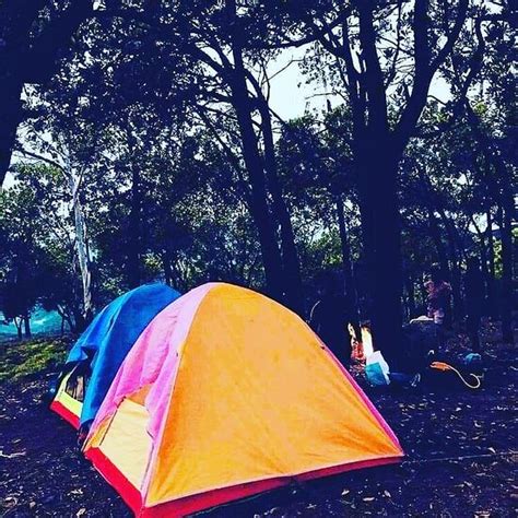 DANDELI JUNGLE RESORT (Karnataka) - Campground Reviews & Photos ...