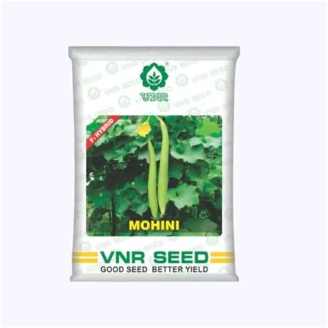 VNR Sponge gourd Seeds | Buy Online in India at Best Price - DesiKheti ...