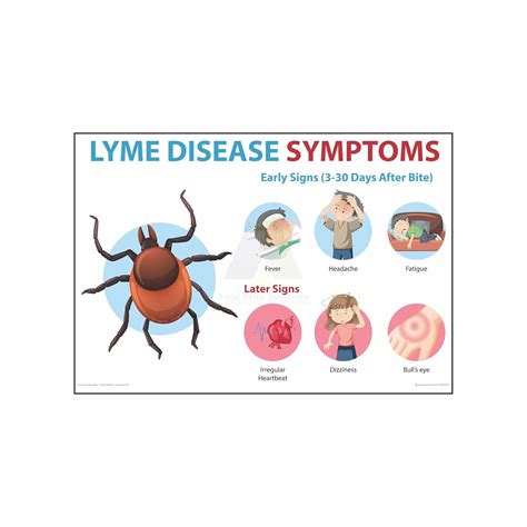 Anne Print Solutions® Lyme Disease Symptoms Posters Without Frame ...