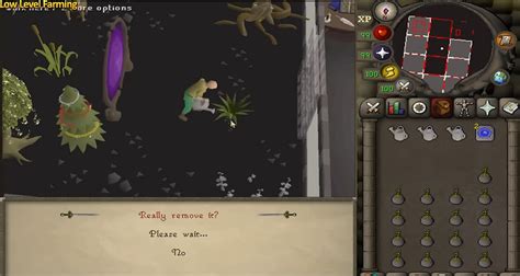 Image result for OSRS Farming Run Guide
