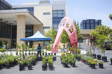 Burbank Farmers' Market | Shopping in Burbank, Los Angeles