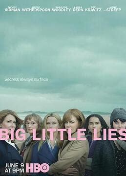 《大小谎言第二季》全集-电视剧-免费在线观看