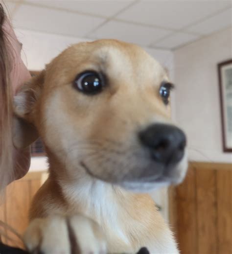 Tender Loving Care Animal Shelter