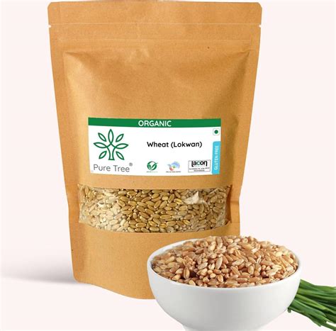 Pure Tree Certified Organic Lokwan Whole Wheat | 900 g | Golden Grain ...