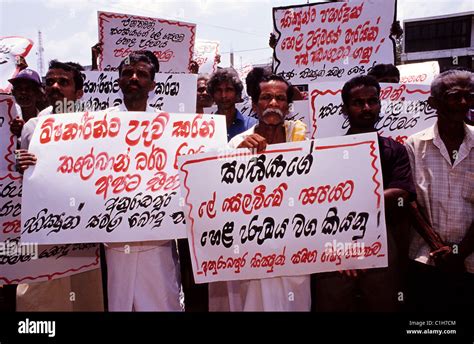 Sri Lanka Election 的图像结果