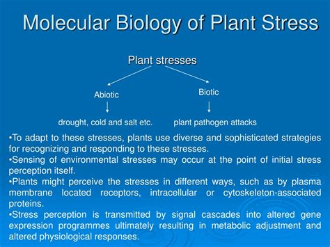 Stress Biology 的图像结果
