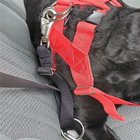 CHAMPION Canine Seat Belt System™ – USA K9 Outfitters