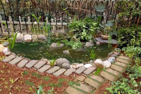 庭院鱼池景观有哪些不同的风格？ - 知乎