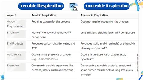 10 Basic Difference between Aerobic and anaerobic respiration - Biology ...