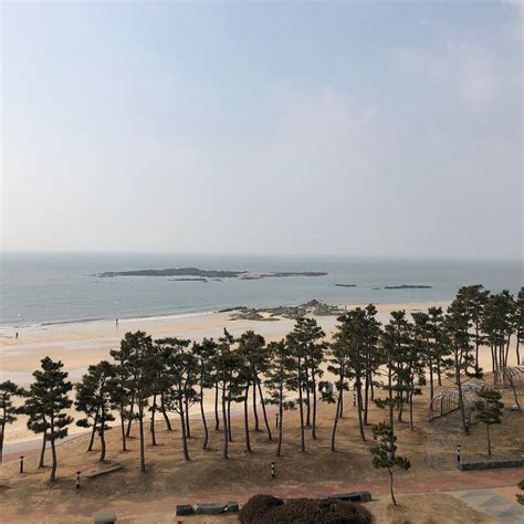 DACHEON BEACH (2024) All You Need to Know BEFORE You Go (with Photos ...