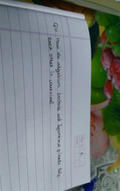 how do rhizobium bacteria and. leguminous plants help each other in ...