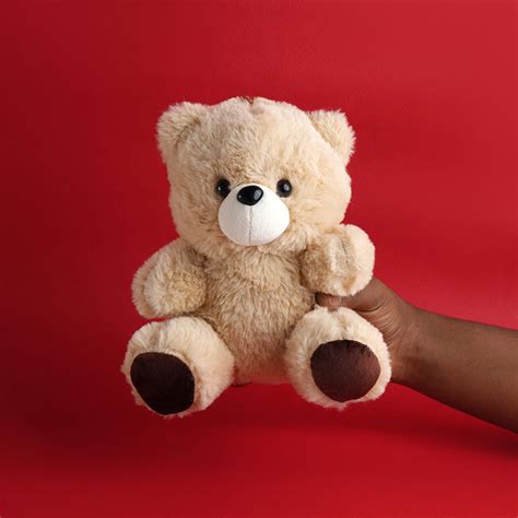 Soft toy - Teddy bear – BoxUp Luxury Gifting