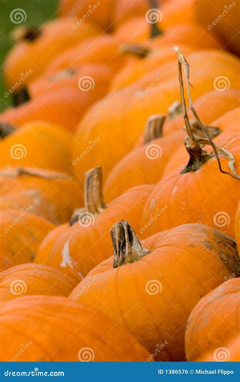 Autumn Decoration - Pumpkin Patch Stock Photo - Image of texture, straw ...