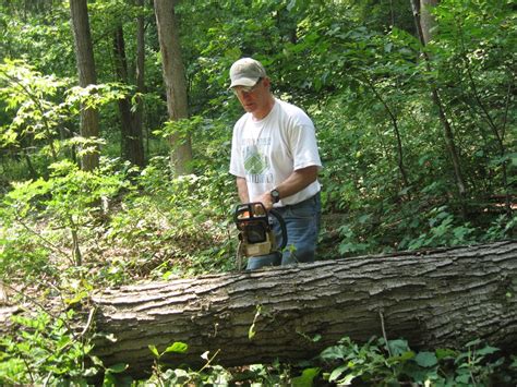 Image result for Bowl Turning Tutorials