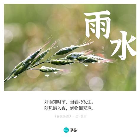 雨水节气 | 好雨知时节，当春乃发生，享受这个早晨的下雨天吧