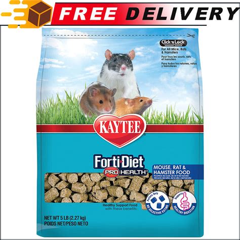Buy Kaytee Pro Health Mouse, Rat & Hamster Food, Supports Healthy ...