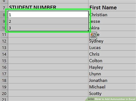 How to AutoNumber in Excel 的图像结果