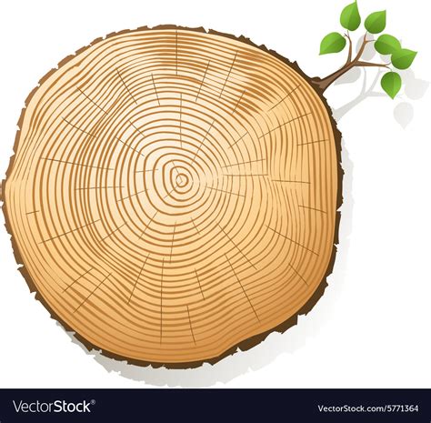 Image result for Tree Ring Cartoon