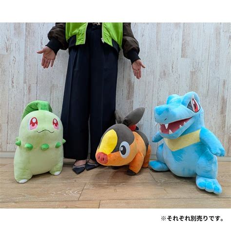 Pokémon LEGENDS Z-A: Life-Sized Plush Toy - Totodile (Limited Edition ...