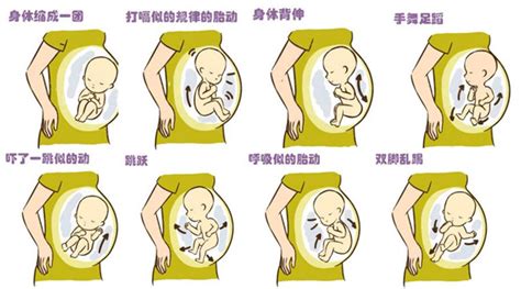 育儿说:34周胎儿在母体的姿势是什么样的？