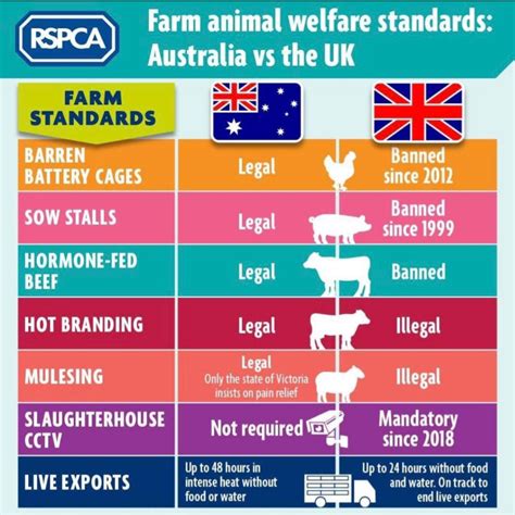 The animal welfare standards the UK Government has just signed into law ...
