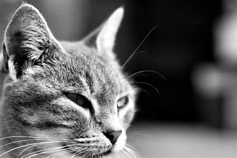 Image result for Nested Data Model Example