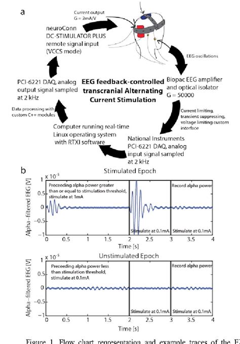 Transcranial Alternating Current Stimulation 的图像结果
