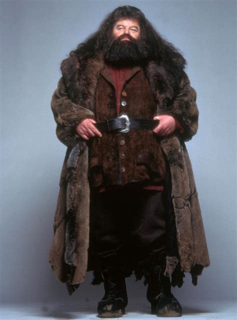 Rubeus Hagrid | Harry potter costume, Rubeus hagrid, Harry potter cosplay
