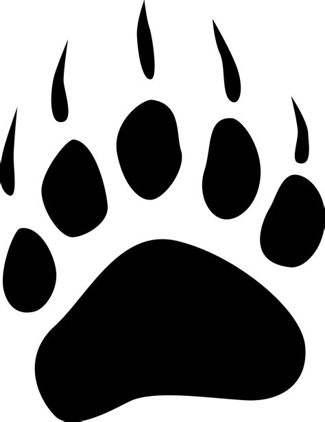 Dog American black bear Polar bear Bear claw - claw png download - 1250 ...